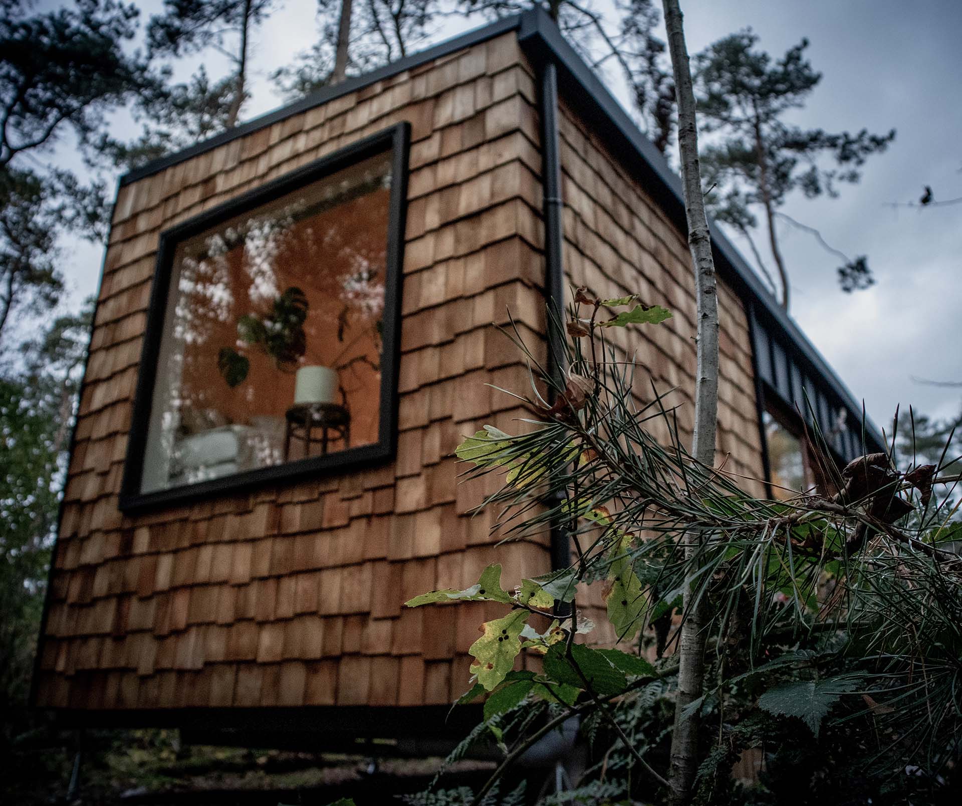 Tiny House Battle | Woodz Design | Zander Steels