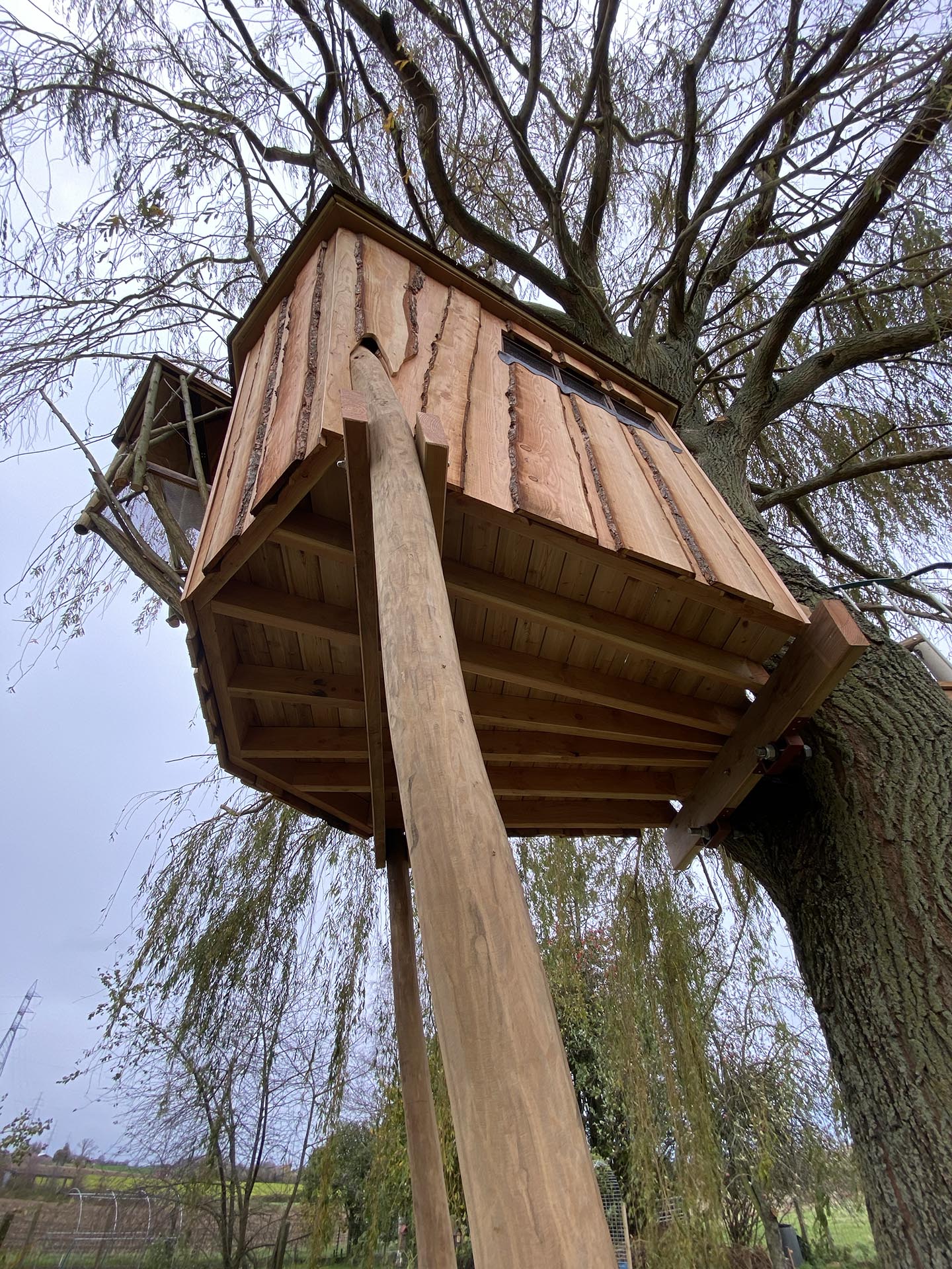 Boomhut in een treurwilg | Woodz Design | Zander Steels
