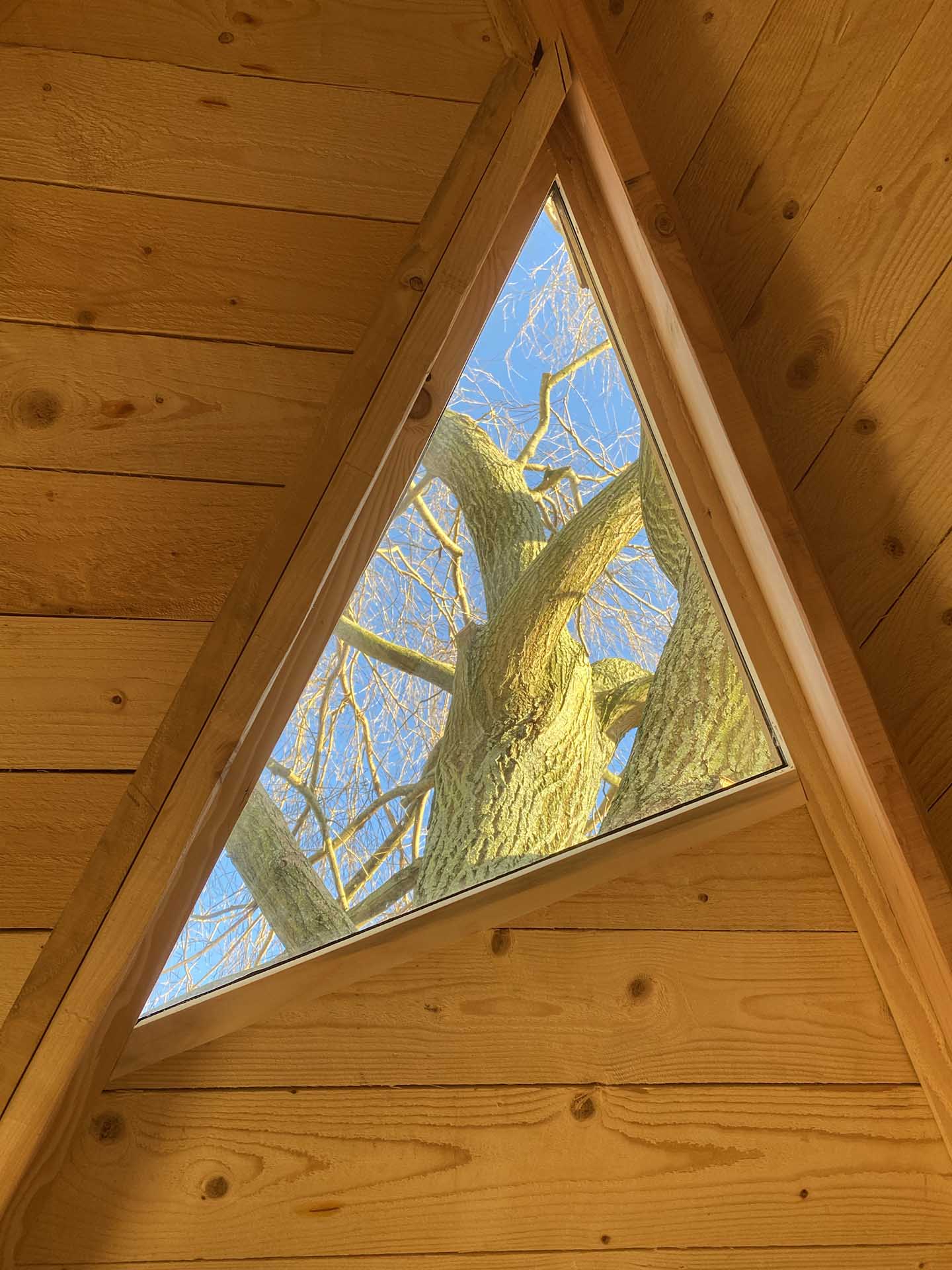 Boomhut in een treurwilg | Woodz Design | Zander Steels