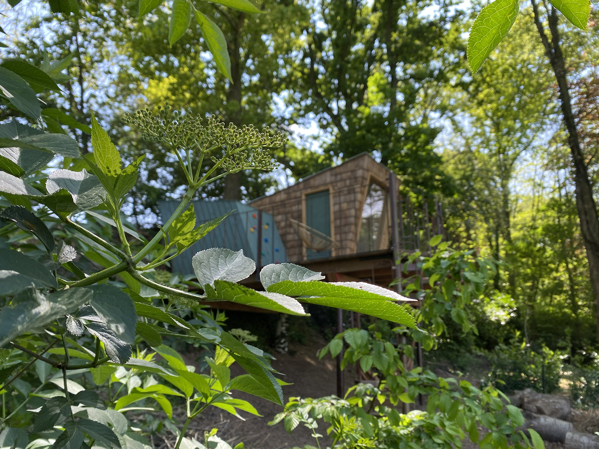 Boomhut | Woodz Design | Zander Steels